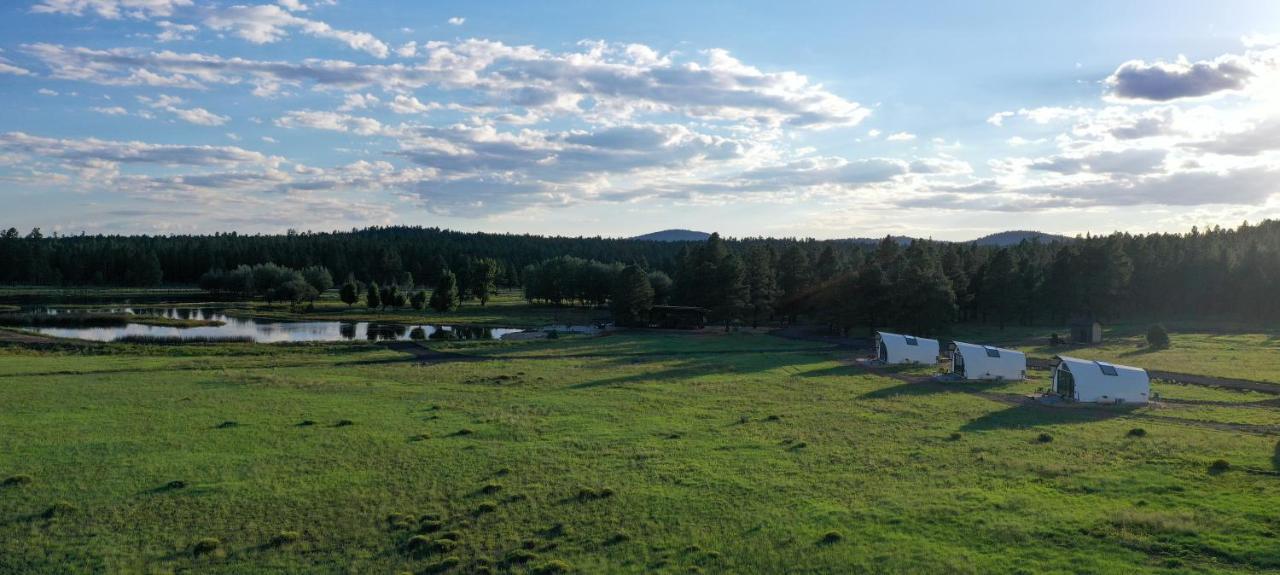 Hotel Backland Williams Esterno foto